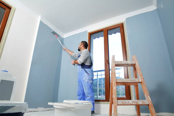 Best Residential Painting  in Fosston, MN